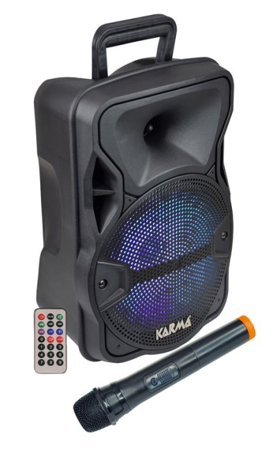 CASSA AUDIO AMPLIFICATO LX 8 300 WATT CON RADIOMICROFONO